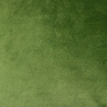 Load image into Gallery viewer, McAlister Textiles Matt Fern Green Velvet Curtains Tailored Curtains