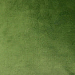 Load image into Gallery viewer, McAlister Textiles Matt Fern Green Velvet Fabric Fabrics 1 Metre
