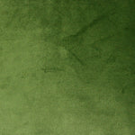 Load image into Gallery viewer, McAlister Textiles Matt Fern Green Velvet Cushion Cushions and Covers