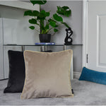Load image into Gallery viewer, McAlister Textiles Matt Beige Mink Velvet Cushion Cushions and Covers