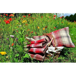 Load image into Gallery viewer, McAlister Textiles Angus Red + White Tartan Cushion Cushions and Covers 
