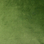 Load image into Gallery viewer, McAlister Textiles Matt Fern Green Velvet Fabric Fabrics 1 Metre 

