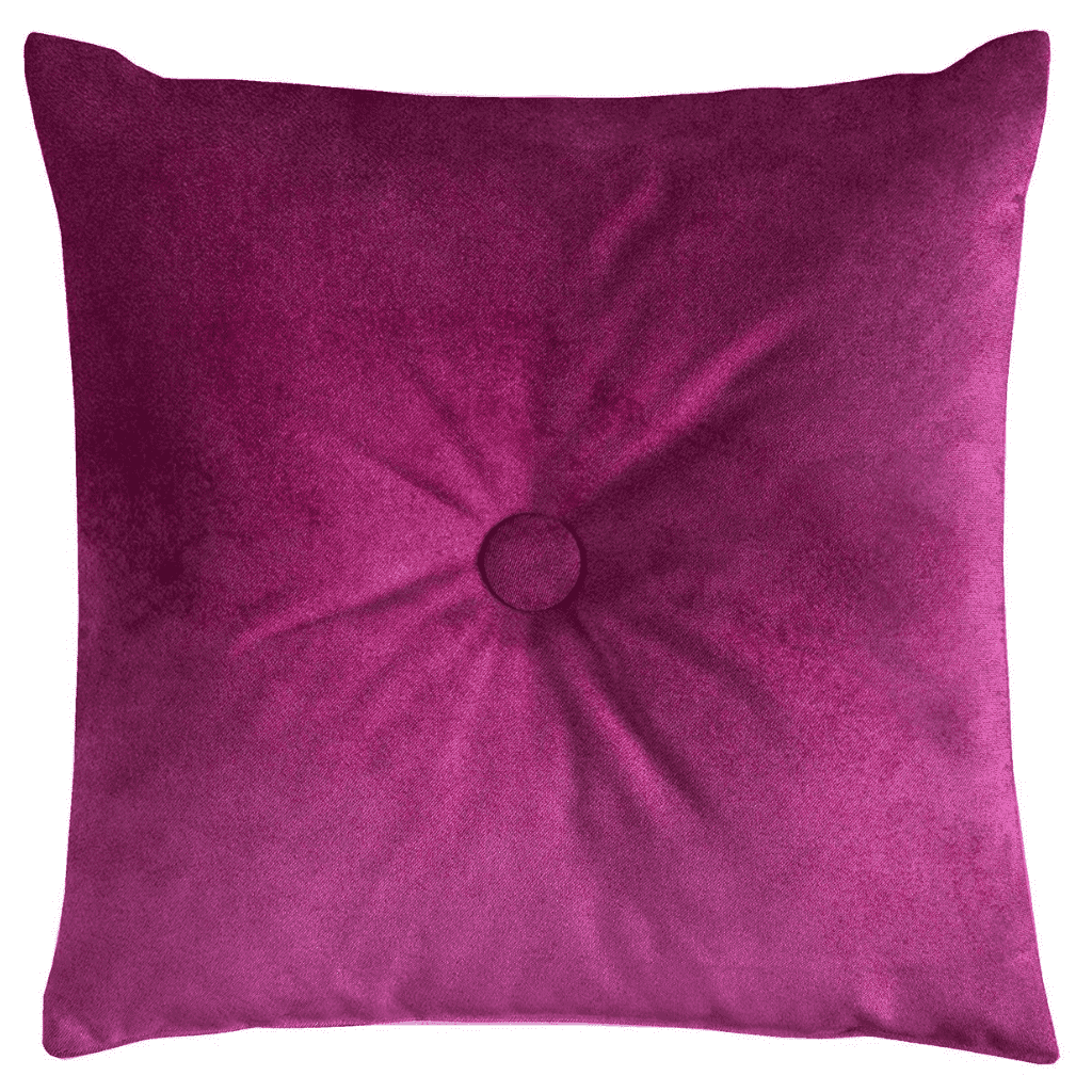Fuchsia 2024 velvet pillow
