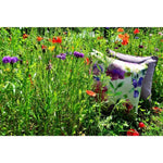 Load image into Gallery viewer, McAlister Textiles Renoir Floral Violet Purple Velvet Cushion Cushions and Covers 
