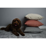 Load image into Gallery viewer, McAlister Textiles Colorado Geometric Black Cushion Cushions and Covers 
